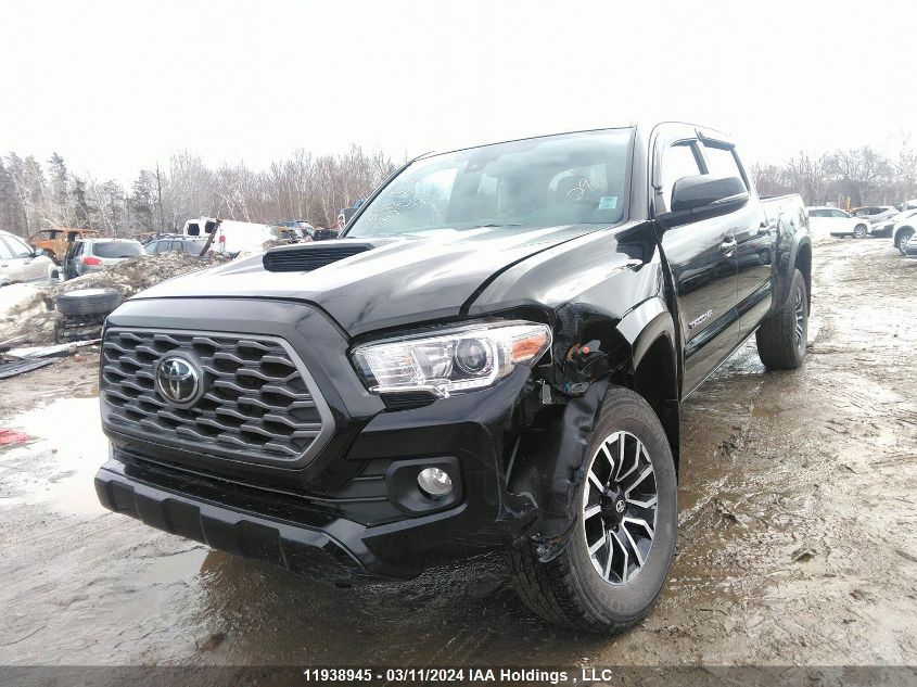 2023 Toyota Tacoma VIN: 3TYDZ5BN4PT024259 Lot: 11938945