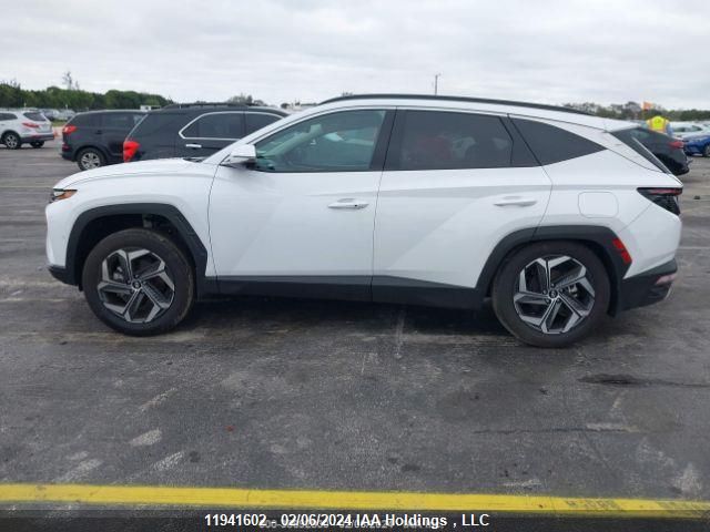 2023 Hyundai Tucson Ultimate Hybrid Awd VIN: KM8JCCA15PU132769 Lot: 11941602