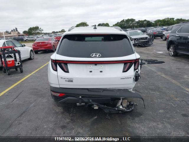 2023 Hyundai Tucson Ultimate Hybrid Awd VIN: KM8JCCA15PU132769 Lot: 11941602