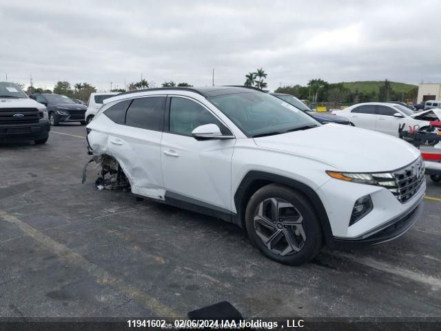 2023 Hyundai Tucson Ultimate Hybrid Awd VIN: KM8JCCA15PU132769 Lot: 11941602