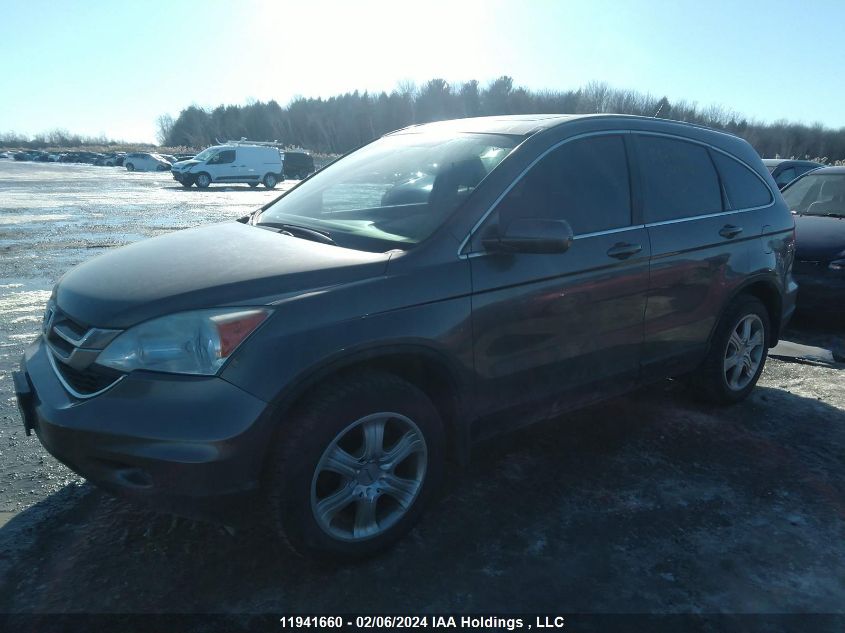 2010 Honda Cr-V VIN: 5J6RE4H7XAL807430 Lot: 11941660