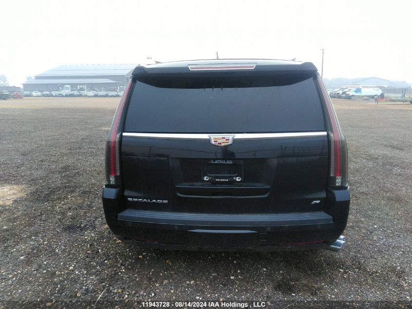 2015 Cadillac Escalade VIN: 1GYS4PKJ0FR571692 Lot: 11943728