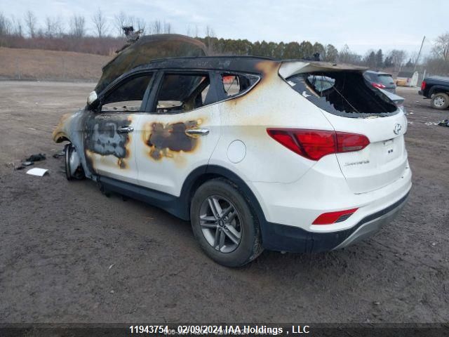 2017 Hyundai Santa Fe Sport 2.4 Se VIN: 5XYZUDLB4HG470666 Lot: 11943754