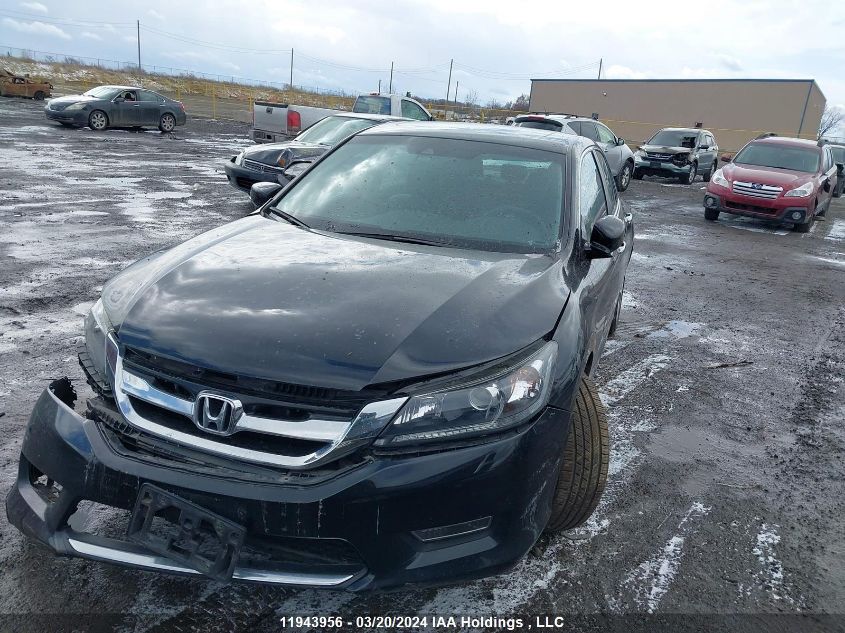 2013 Honda Accord Exl VIN: 1HGCR2F83DA806007 Lot: 11943956