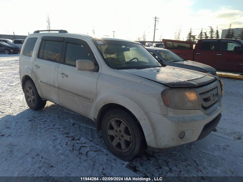 2009 Honda Pilot VIN: 5FNYF48939B504763 Lot: 11944264