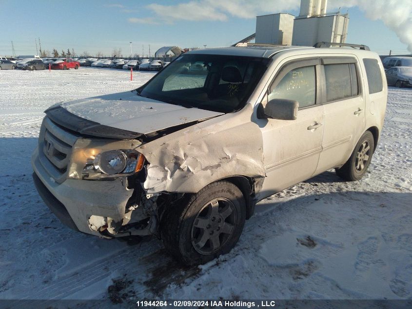 2009 Honda Pilot VIN: 5FNYF48939B504763 Lot: 11944264