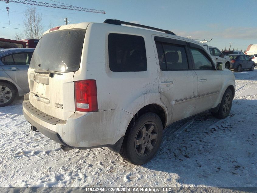 2009 Honda Pilot VIN: 5FNYF48939B504763 Lot: 11944264