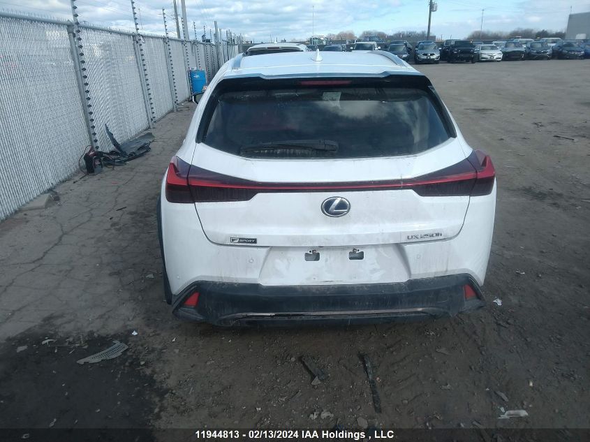 2020 Lexus Ux 250H VIN: JTHR9JBH4L2027585 Lot: 11944813