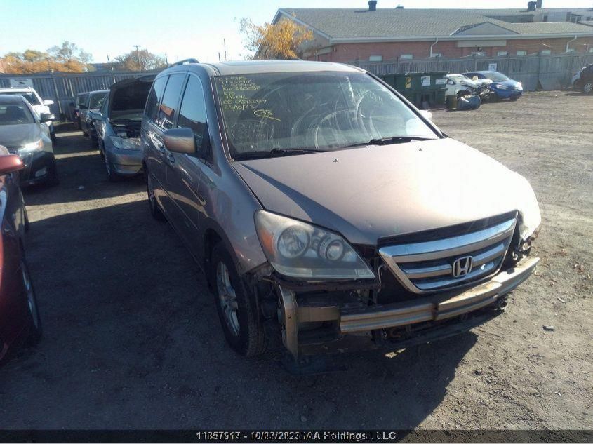 2005 Honda Odyssey VIN: 5FNRL38645B501443 Lot: 39236426