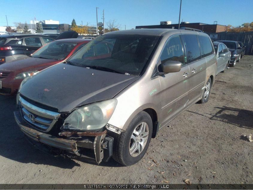 2005 Honda Odyssey VIN: 5FNRL38645B501443 Lot: 39236426