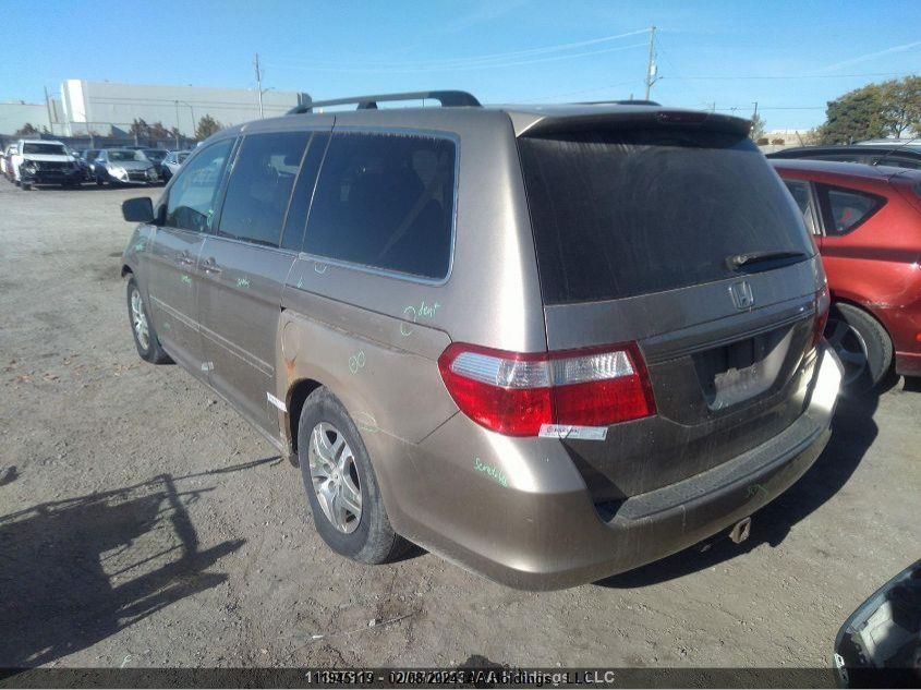 2005 Honda Odyssey VIN: 5FNRL38645B501443 Lot: 39236426