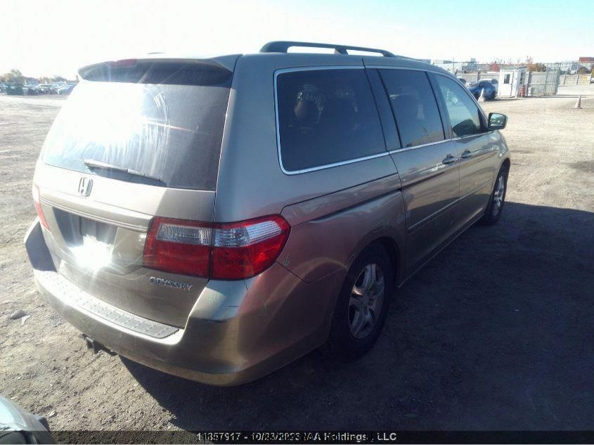 2005 Honda Odyssey VIN: 5FNRL38645B501443 Lot: 39236426