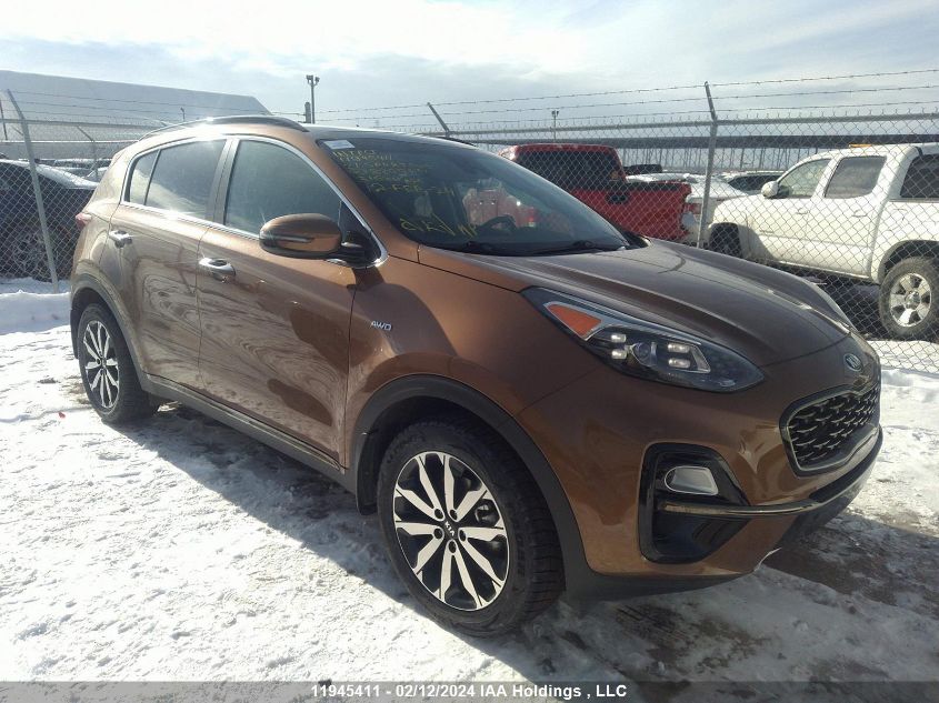 2021 Kia Sportage VIN: KNDPNCAC9M7880977 Lot: 11945411