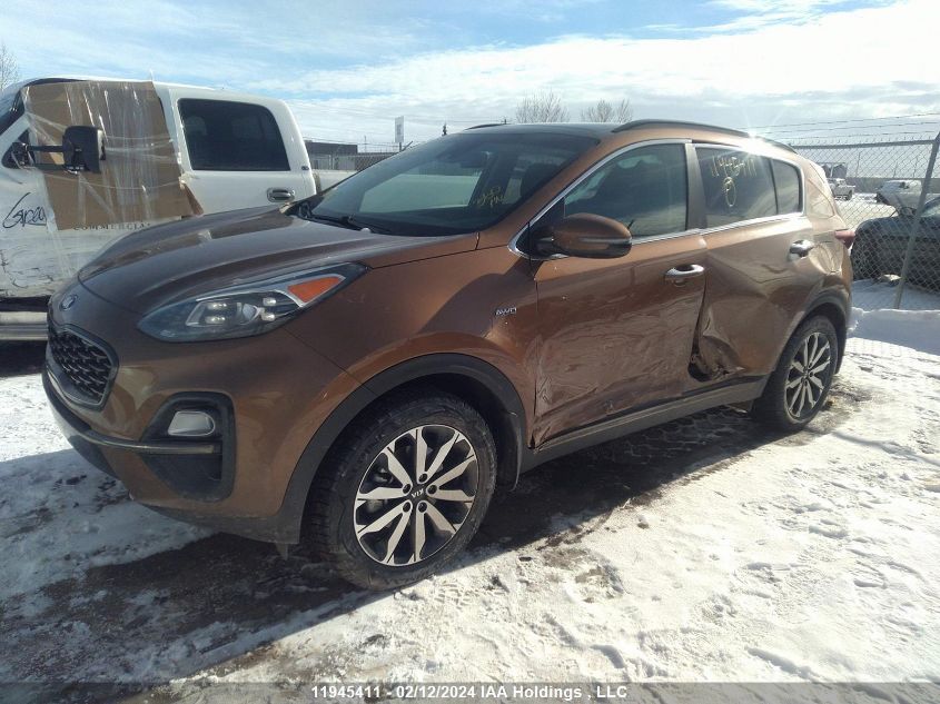 2021 Kia Sportage VIN: KNDPNCAC9M7880977 Lot: 11945411