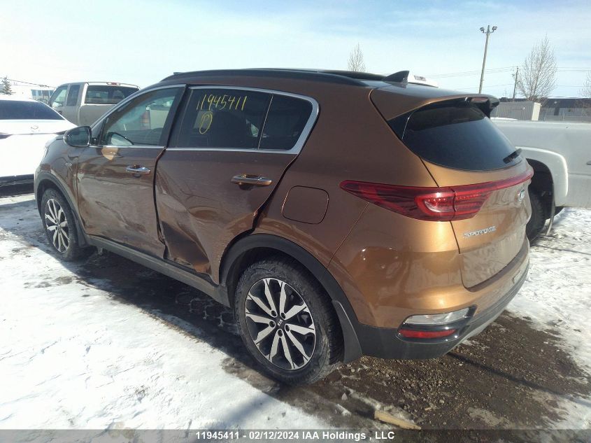 2021 Kia Sportage VIN: KNDPNCAC9M7880977 Lot: 11945411