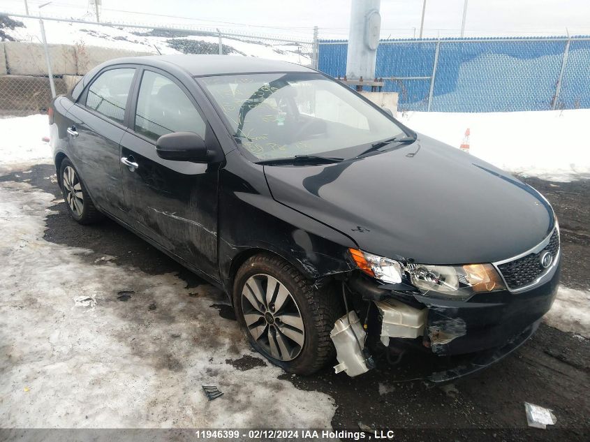 2013 Kia Forte VIN: KNAFU4A20D5650586 Lot: 11946399