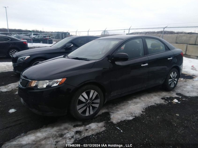 2013 Kia Forte VIN: KNAFU4A20D5650586 Lot: 11946399