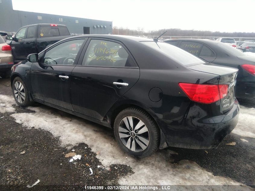 2013 Kia Forte VIN: KNAFU4A20D5650586 Lot: 11946399