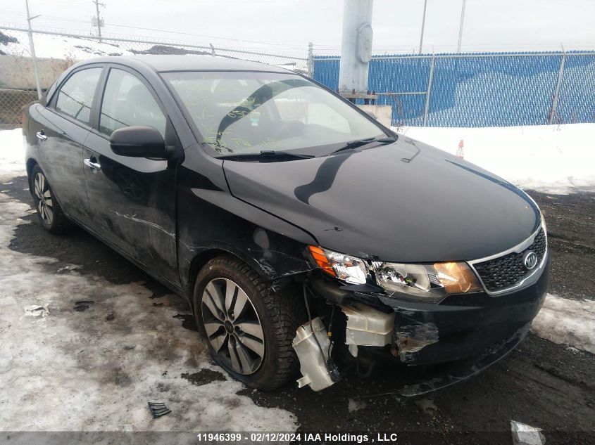 2013 Kia Forte VIN: KNAFU4A20D5650586 Lot: 11946399