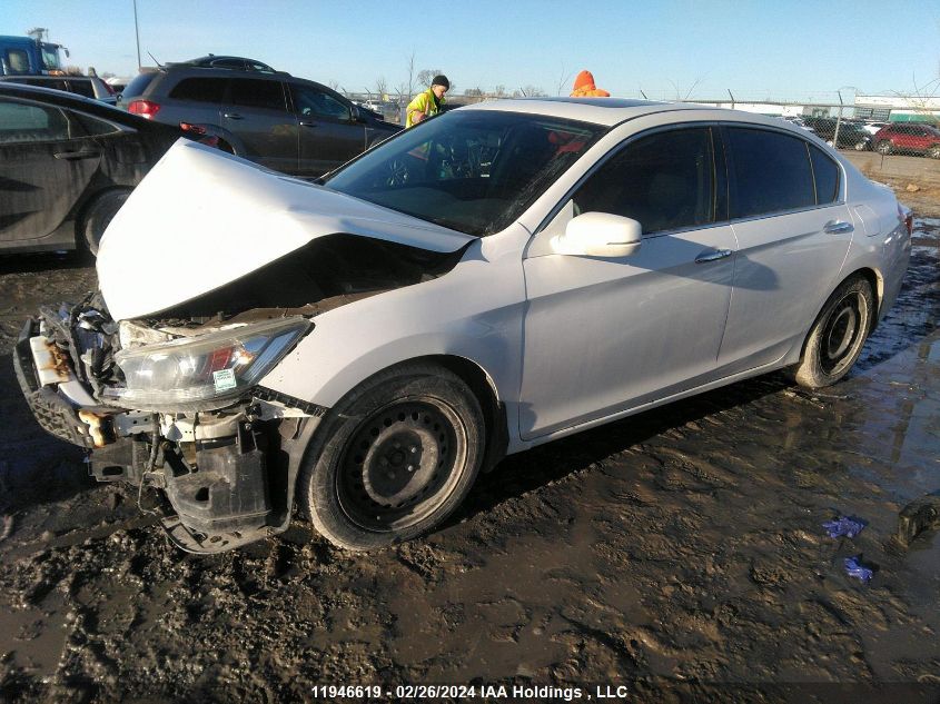 2015 Honda Accord Sedan VIN: 1HGCR2F59FA807929 Lot: 11946619