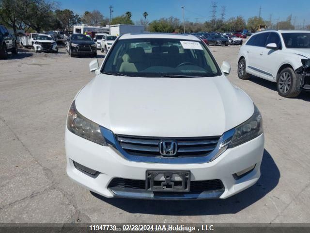 2015 Honda Accord Sedan VIN: 1HGCR2F91FA807037 Lot: 11947739