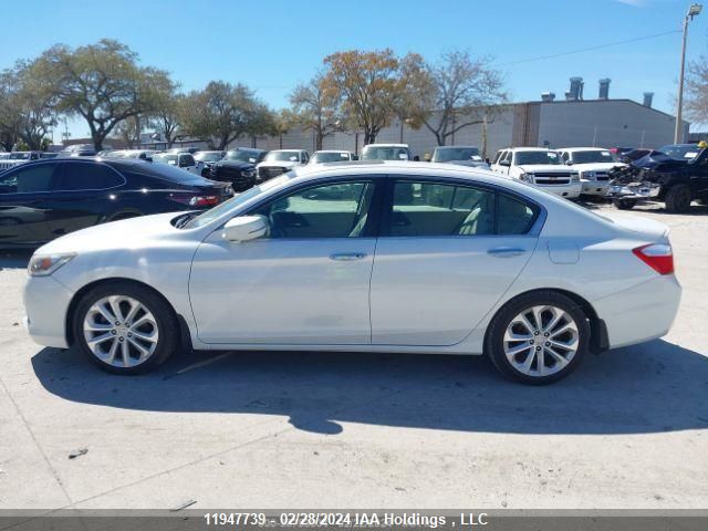 2015 Honda Accord Sedan VIN: 1HGCR2F91FA807037 Lot: 11947739