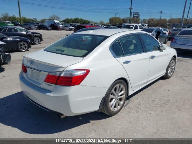 2015 Honda Accord Sedan VIN: 1HGCR2F91FA807037 Lot: 11947739