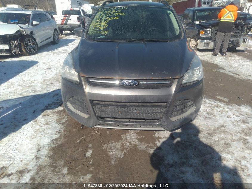 2014 Ford Escape Se VIN: 1FMCU0GX9EUC25906 Lot: 11947830