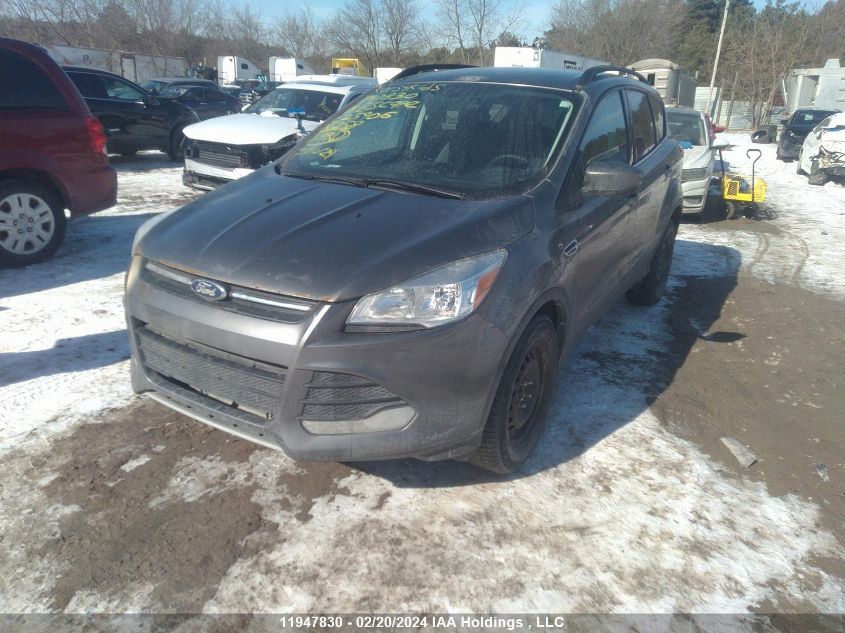 2014 Ford Escape Se VIN: 1FMCU0GX9EUC25906 Lot: 11947830