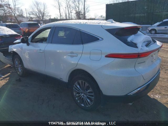 JTEAAAAH7MJ075303 2021 Toyota Venza Xle