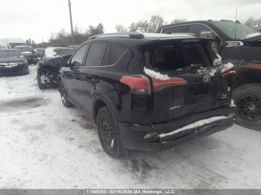 2017 Toyota Rav4 VIN: 2T3BFREV1HW563503 Lot: 50723514