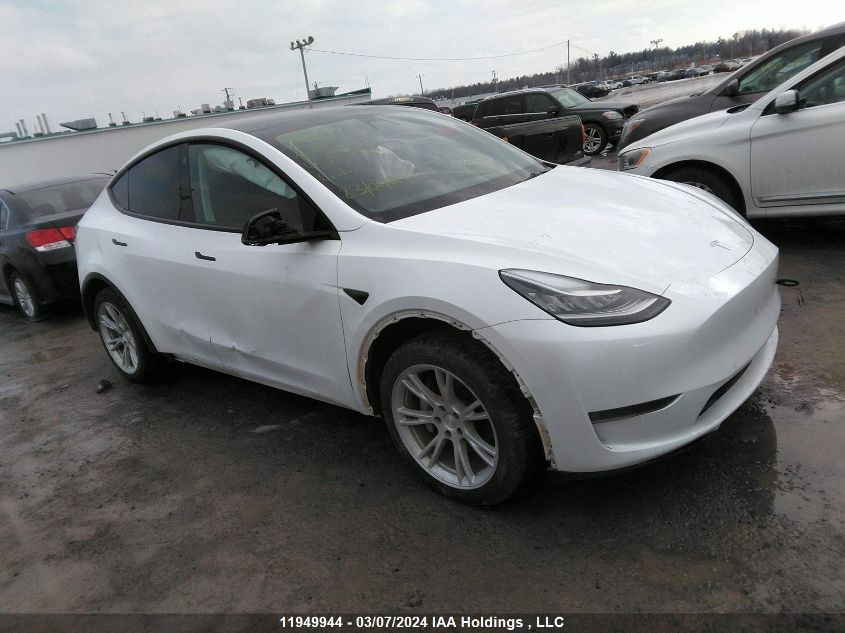 2021 Tesla Model Y VIN: 5YJYGDEE2MF300544 Lot: 11949944