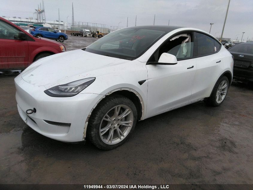 2021 Tesla Model Y VIN: 5YJYGDEE2MF300544 Lot: 11949944