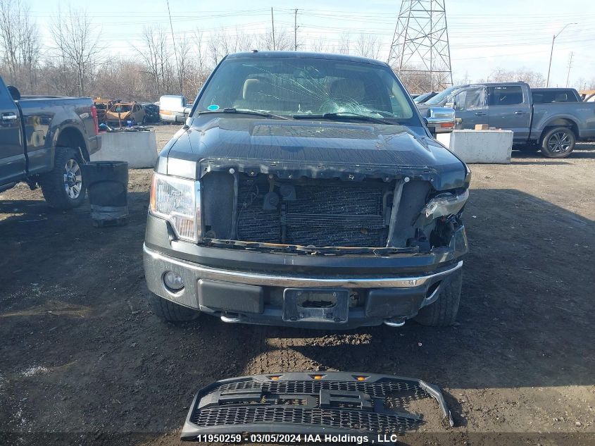 2010 Ford F150 Super Cab VIN: 1FTFX1EV5AFA80426 Lot: 11950259