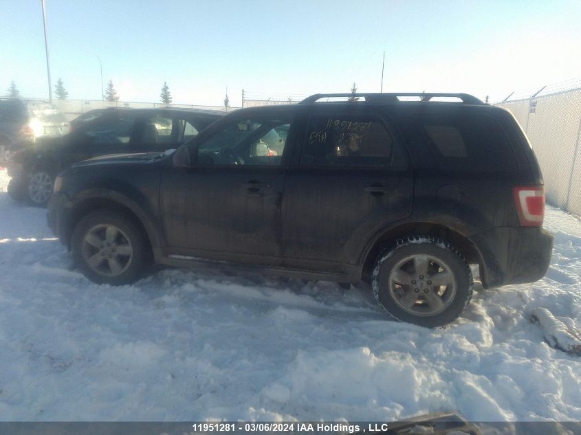 2012 Ford Escape Xlt VIN: 1FMCU9DG7CKB85701 Lot: 51818984