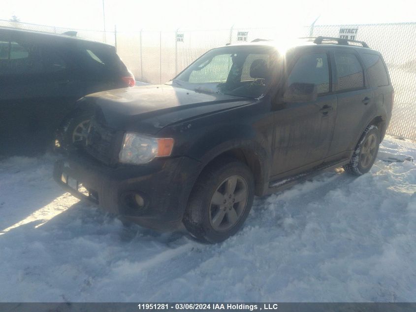 2012 Ford Escape Xlt VIN: 1FMCU9DG7CKB85701 Lot: 51818984