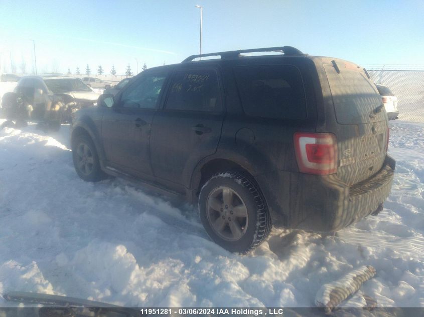 2012 Ford Escape Xlt VIN: 1FMCU9DG7CKB85701 Lot: 51818984