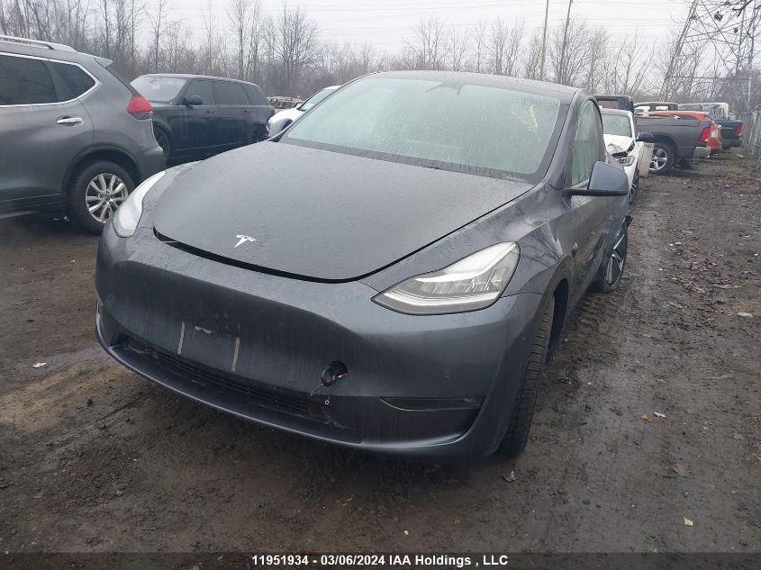 2021 Tesla Model Y VIN: 5YJYGAEE8MF303866 Lot: 11951934