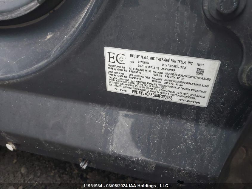 2021 Tesla Model Y VIN: 5YJYGAEE8MF303866 Lot: 11951934