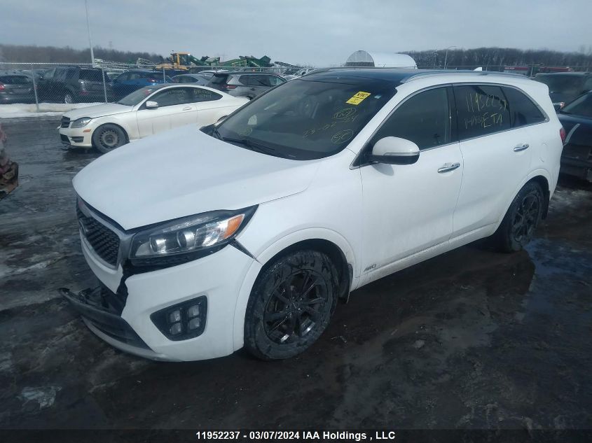 2016 Kia Sorento VIN: 5XYPKDA52GG174053 Lot: 11952237