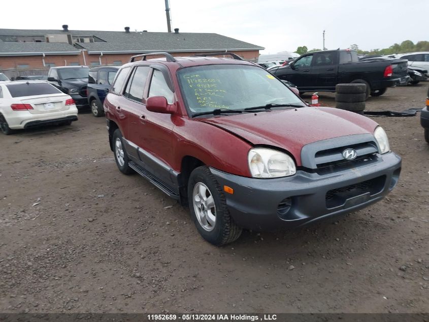 2005 Hyundai Santa Fe VIN: KM8SB13D25U918805 Lot: 11952659