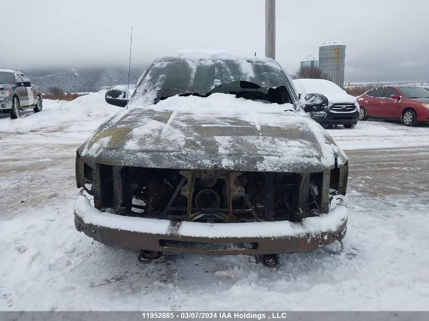 2009 Chevrolet Silverado K1500 VIN: 1GCEK14C09Z172645 Lot: 11952885