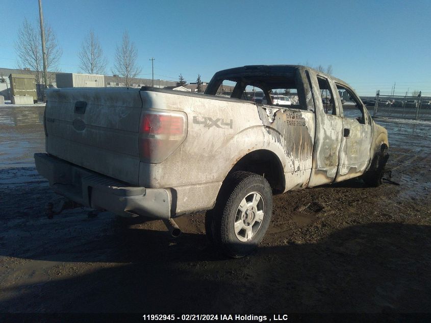 2010 Ford F150 Super Cab VIN: 1FTEX1E89AFD58914 Lot: 39219987