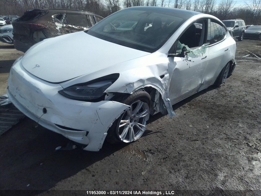 2023 Tesla Model Y VIN: 7SAYGDEE0PF775553 Lot: 11953000