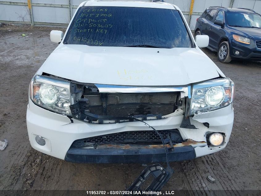2009 Honda Pilot VIN: 5FNYF48919B503627 Lot: 11953702