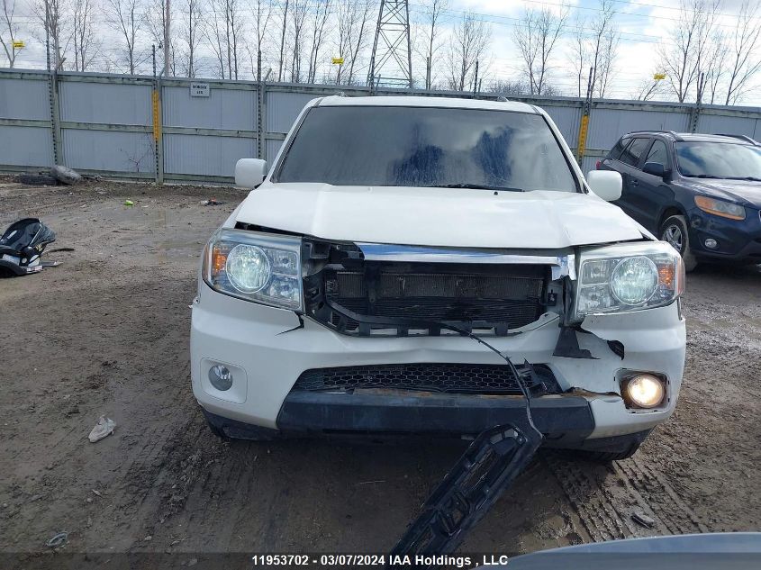 2009 Honda Pilot VIN: 5FNYF48919B503627 Lot: 11953702