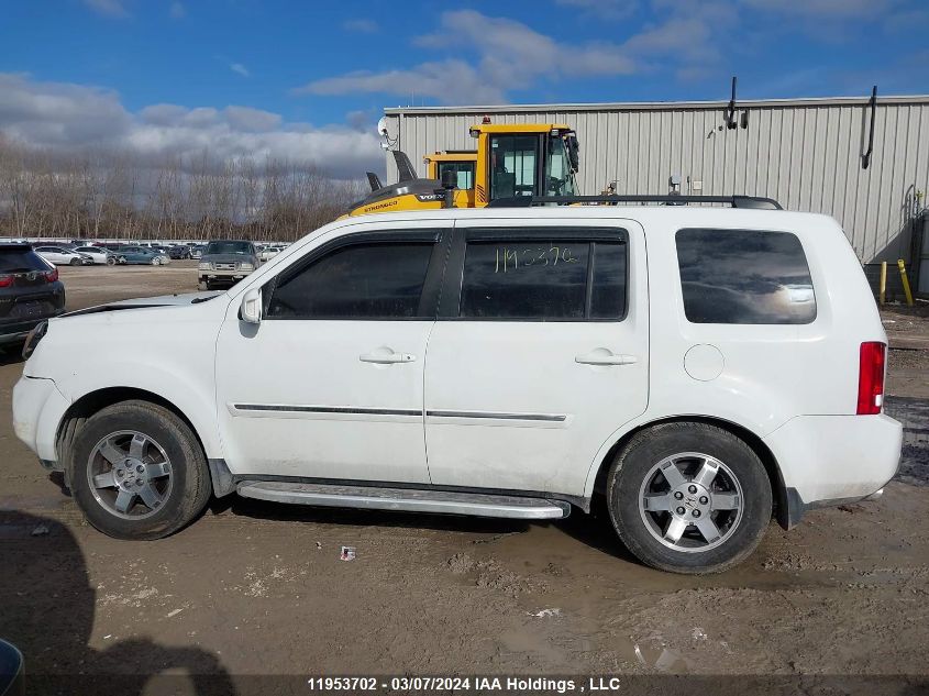 2009 Honda Pilot VIN: 5FNYF48919B503627 Lot: 11953702