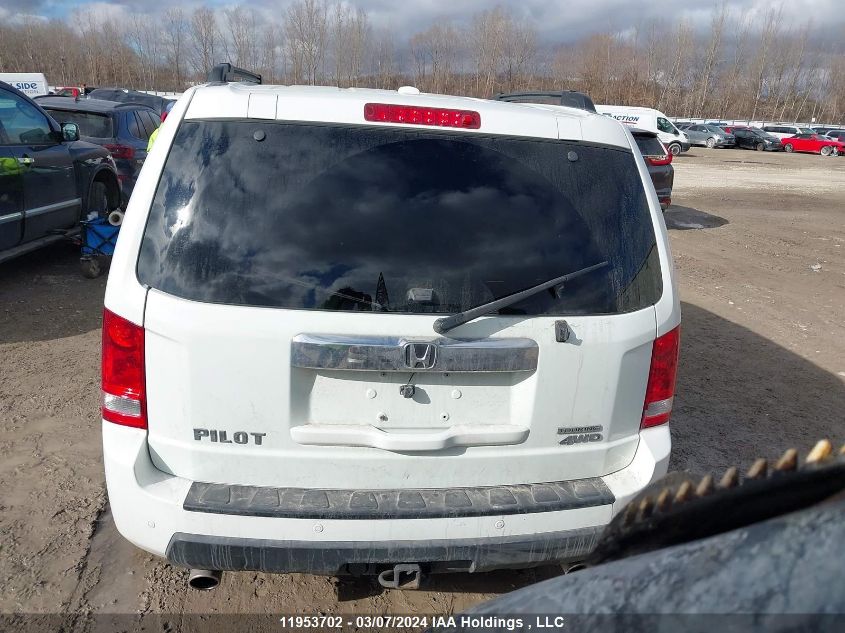 2009 Honda Pilot VIN: 5FNYF48919B503627 Lot: 11953702