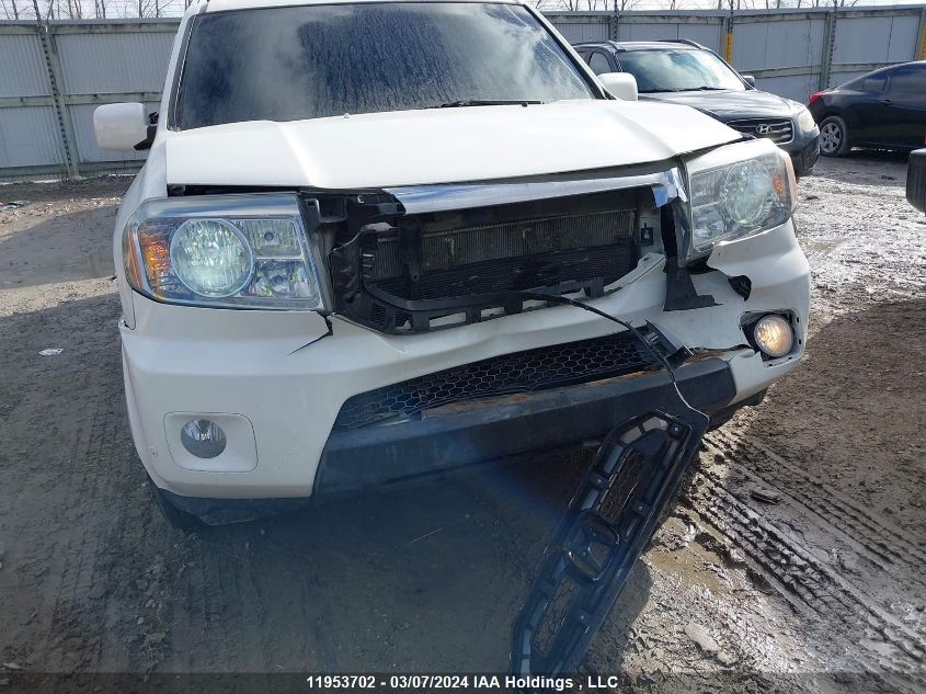 2009 Honda Pilot VIN: 5FNYF48919B503627 Lot: 11953702