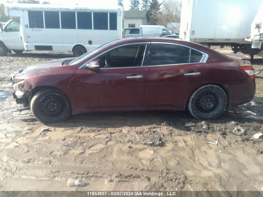 2009 Nissan Maxima S/Sv VIN: 1N4AA51E99C835671 Lot: 11953937